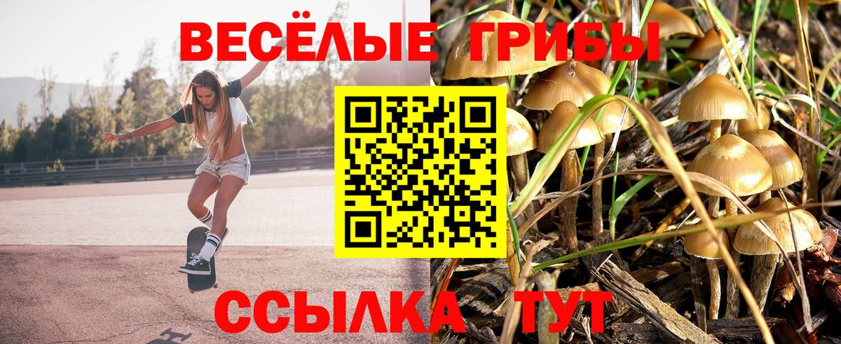 Норильск  Псилоцибиновые грибы Magic Shrooms  Вход с VPN 